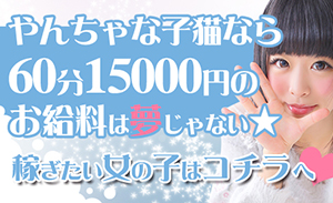 やんちゃな子猫神戸元町店